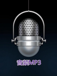 李林升道家六爻2015-2016两期绝秘六爻培训录音加整理的资料 百度云