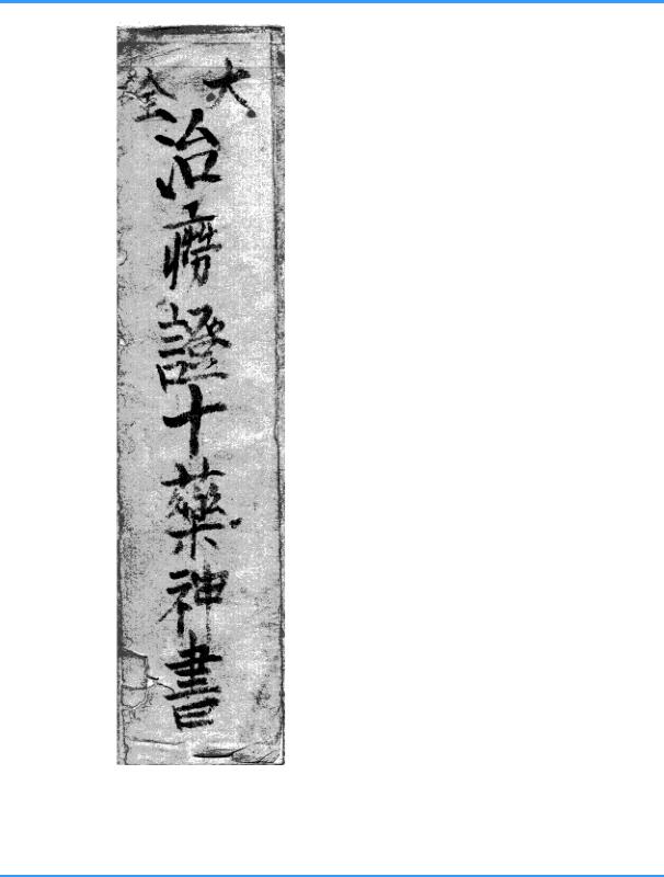 十药神书