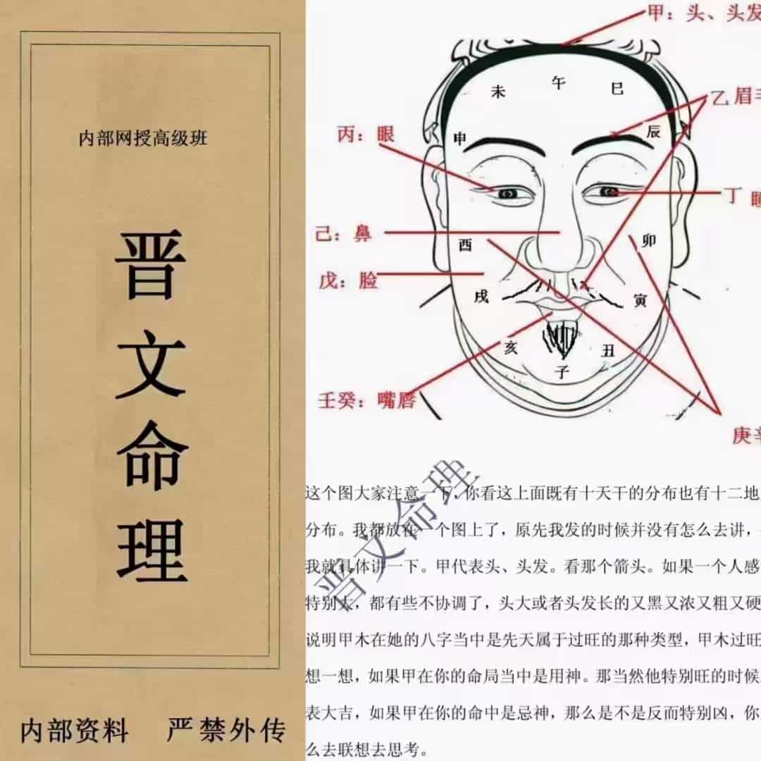 晋文八字命理内部网授班高级教学资料