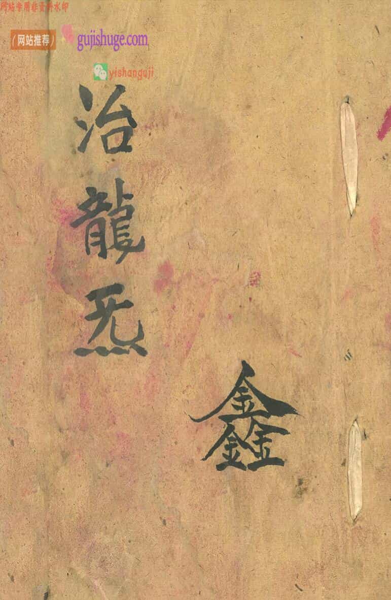 《治龙炁》