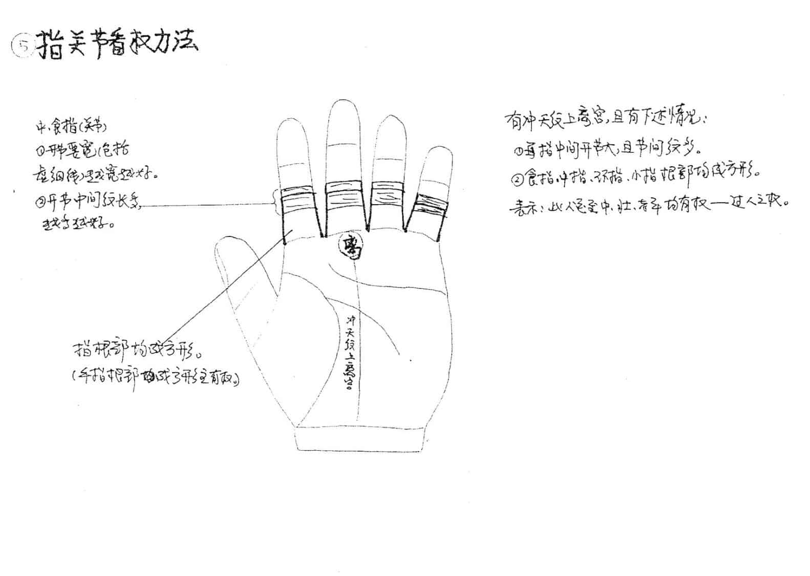 陈鼎龙，童忠义，手纹学