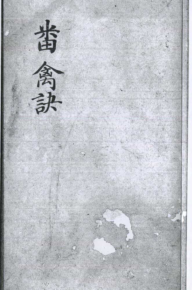 番禽訣.