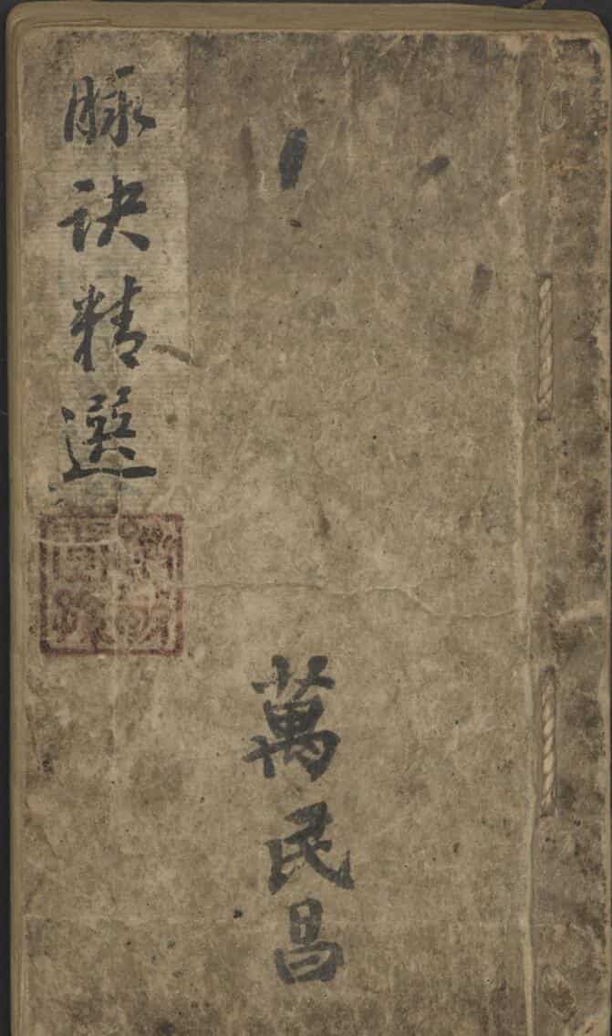 阜东氏 脉诀精选