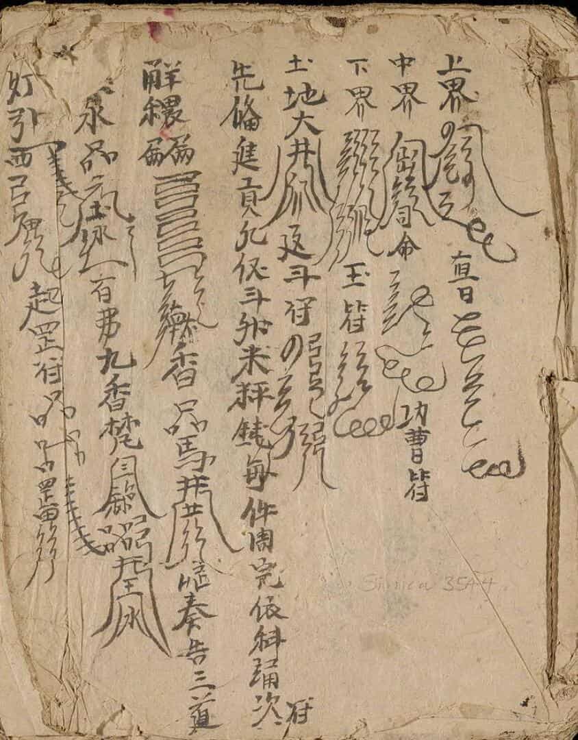 三宫二宫科