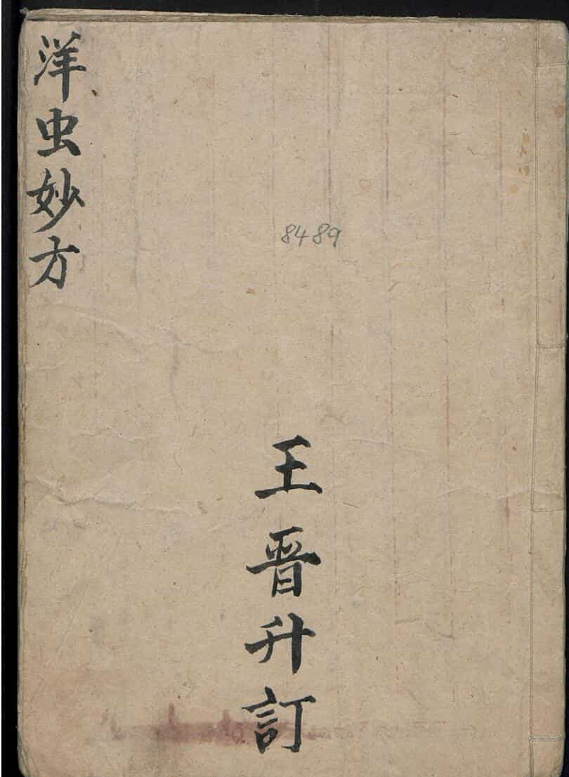 王晋升 洋虫妙方.pdf