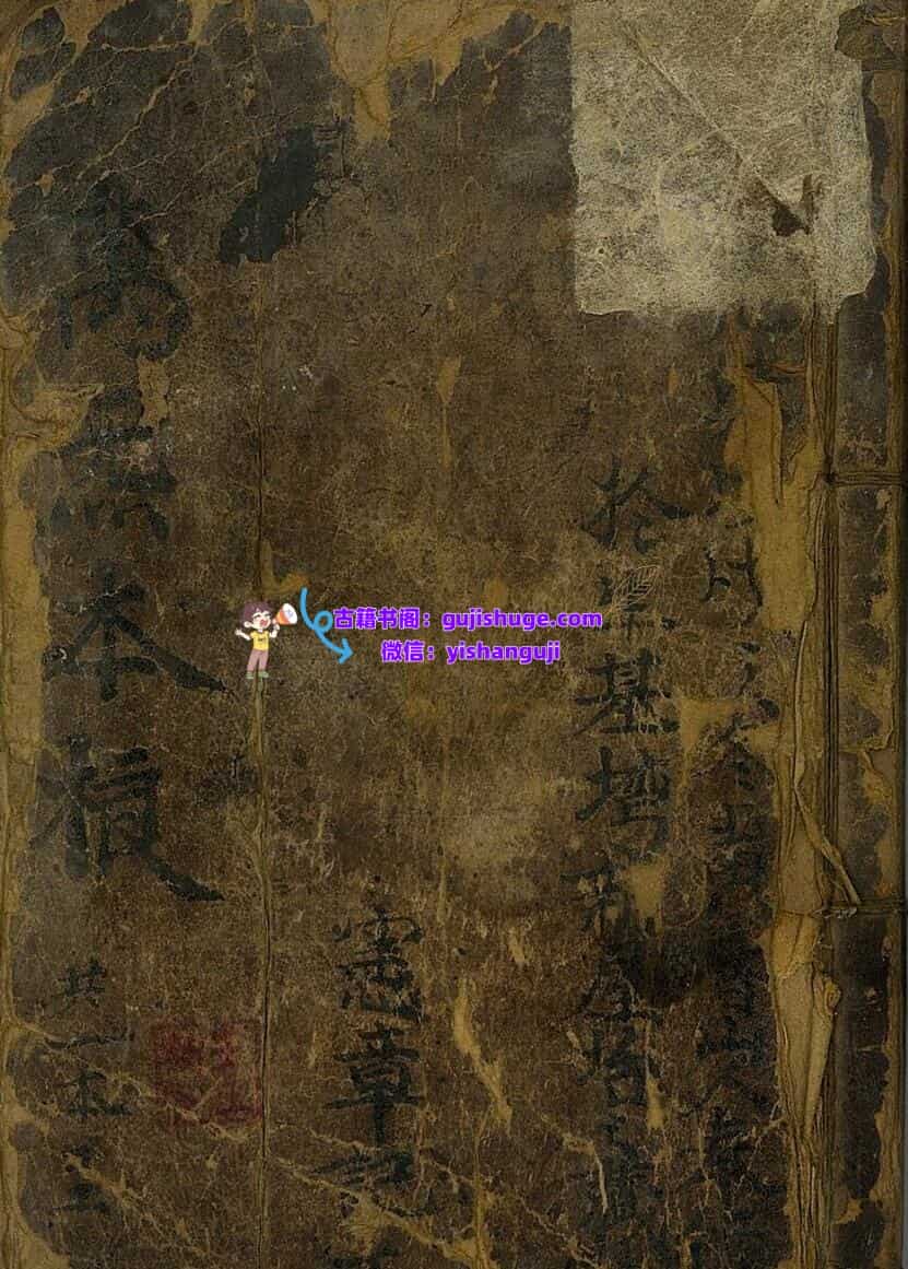 《万炁本根》